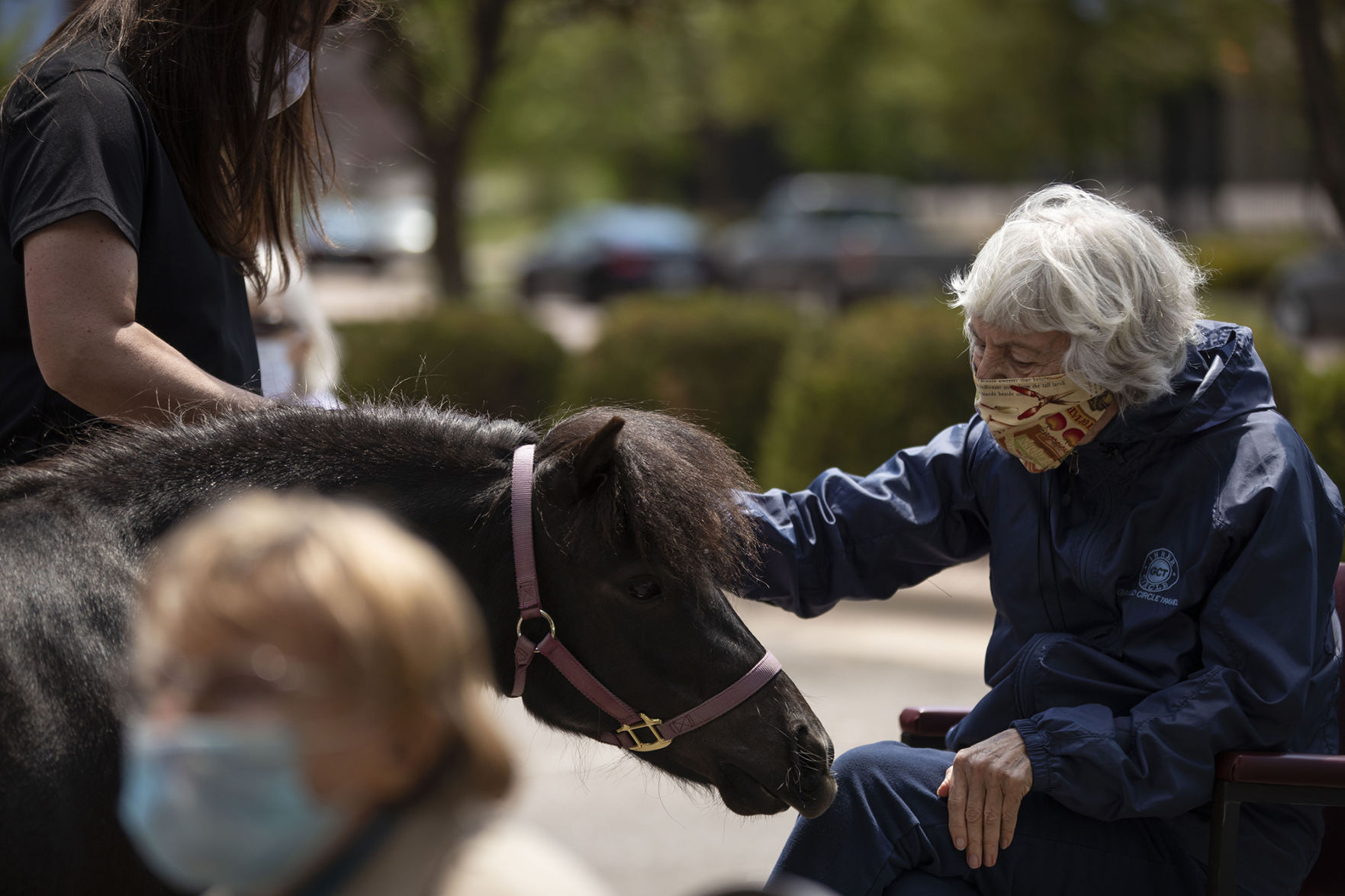 053020-news-minihorses 05.jpg